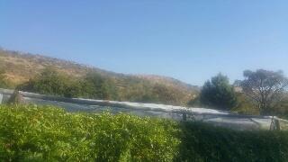 Commercial Property for Sale in Boekenhoutfontein A H North West